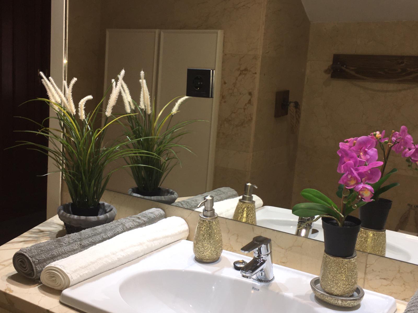 Vista baño y lavabo